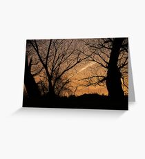 Looking out from the edge of the wood Greeting Card