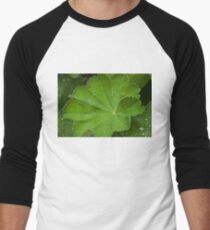 Dew Drops On Lady's Mantel Leaf Men's Baseball ¾ T-Shirt