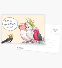 Cockatiel is a cockatoo too! Postcards