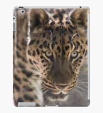 Leopard (Panthera pardus) iPad-Hülle & Skin