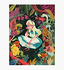 Alice in Wonder Photographic Print