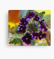 Intense Canvas Print