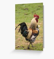 Cockerel Greeting Card
