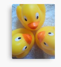 Quack? Quack. Quack! Metal Print
