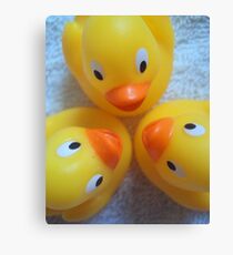 Quack? Quack. Quack! Canvas Print