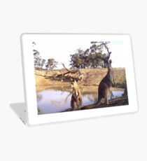 Standing Kangaroos Laptop Skin