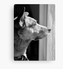 Sec... Metal Print