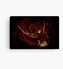 A Version Layer Canvas Print