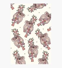 Chubby Koala Photographic Print