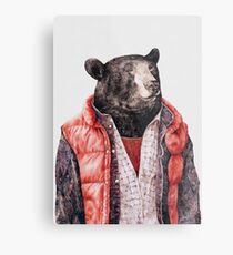 Schwarzbär Metalldruck