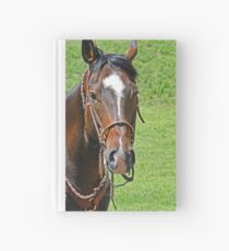 Equine Beauty Hardcover Journal