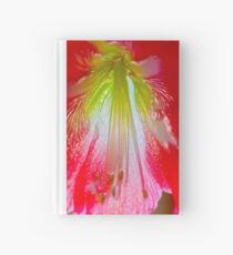 First Blush Hardcover Journal