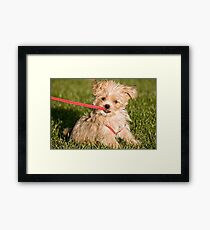 What we do Best! Framed Print
