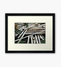 bamboo trees Framed Print