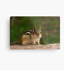 Yessss! Metal Print