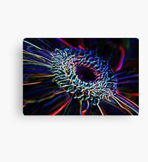 Psychedelic Canvas Print