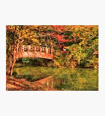 Bridge - Asian Delight Photographic Print