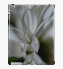 Daisy - Chrysanthemum iPad Case/Skin
