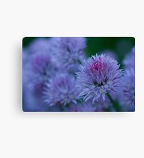 Blush Brush Canvas Print
