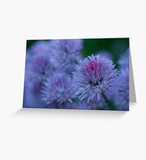 Blush Brush Greeting Card