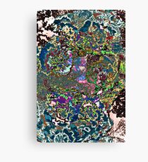 SouthWest Canvas Print
