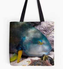 Watching Wrasse Tote Bag