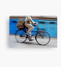 Race Canvas Print