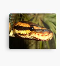 Reptile Royalty Metal Print