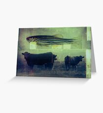 carte postale / 039 Greeting Card
