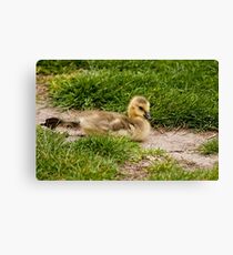123 Stretch! Canvas Print