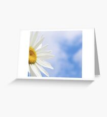 Daisy Greeting Card