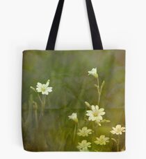 dance la prairie Tote Bag