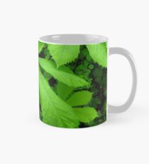 Aesculus hippocastanum tree Mug