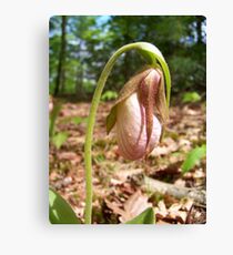 Emergence Canvas Print