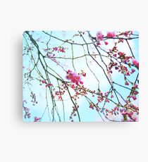 Japanese Blossom Canvas Print