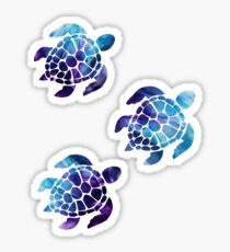 Package of Sea Turtles Sticker