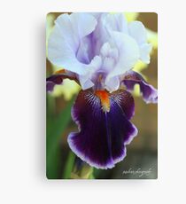 Intense Color Canvas Print