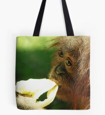 Godek in the sun Tote Bag
