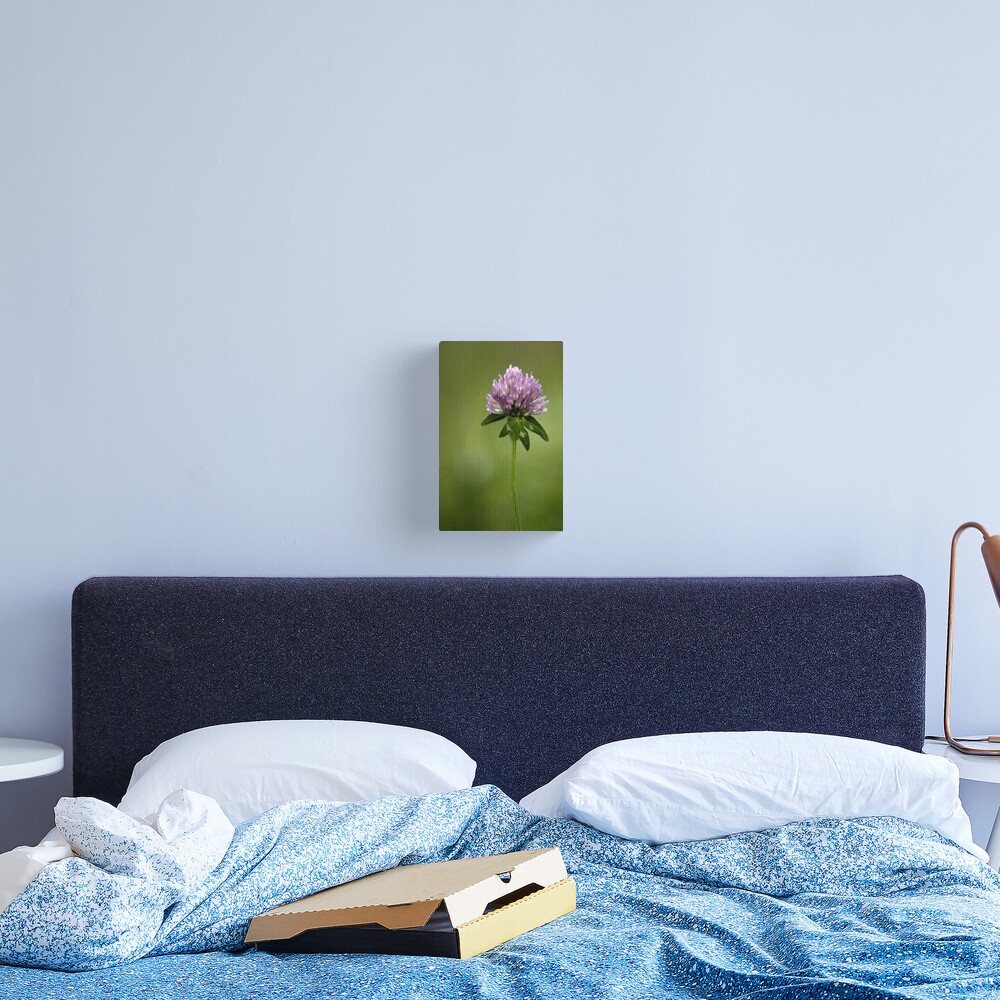 Clover in Springtime Canvas Print