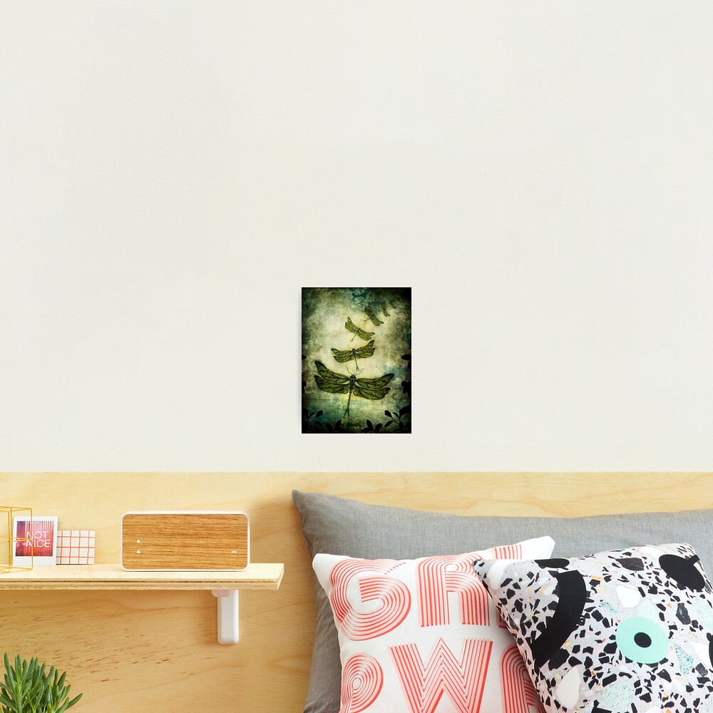 Fly, Fly Away! Photographic Print