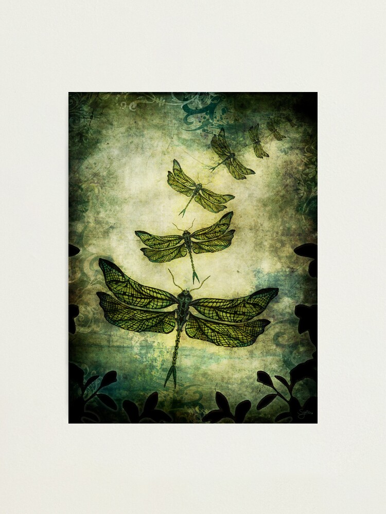 Alternate view of Fly, Fly Away! Photographic Print