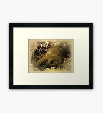 Secret Life Framed Print