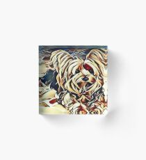 Ollie der Yorkshire Terrier Acrylblock