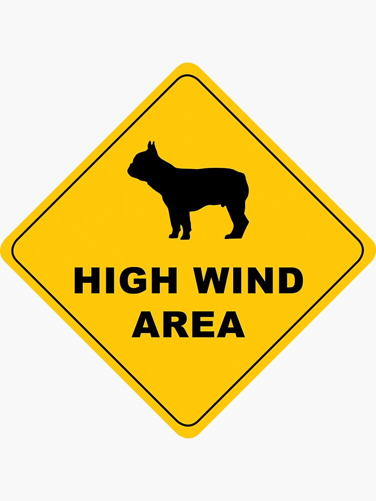 download high wind warning