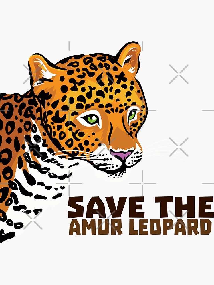 "Save the Amur Leopard" Sticker by PepomintNarwhal | Redbubble