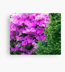 Shrub Canvas Print