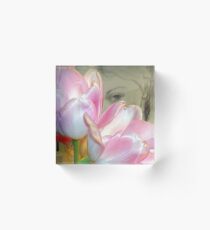 Intrigue Acrylic Block