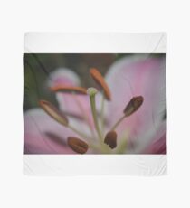 Stamen Scarf