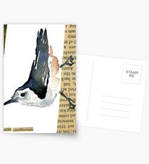 Sitta Carolinensis Postcards