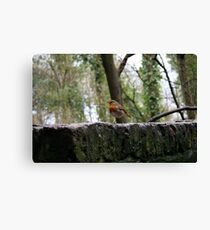 My Little friend Canvas Print